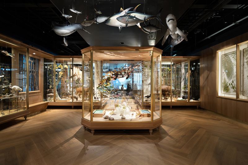 A new permanent exhibition “Exploring Taiwan” kicks off March 15 at National Taiwan Museum in Taipei City. (Courtesy of Ministry of Culture)
