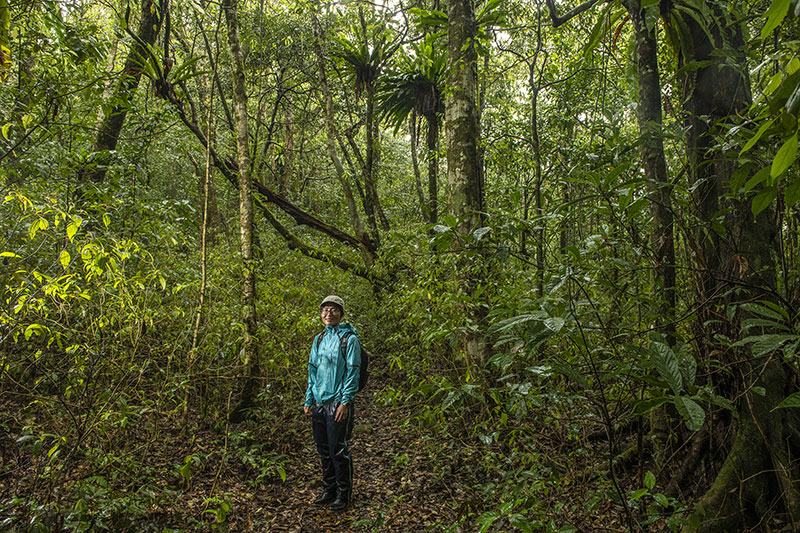 Rebecca Hsu says that every encounter with a giant tree is providential.