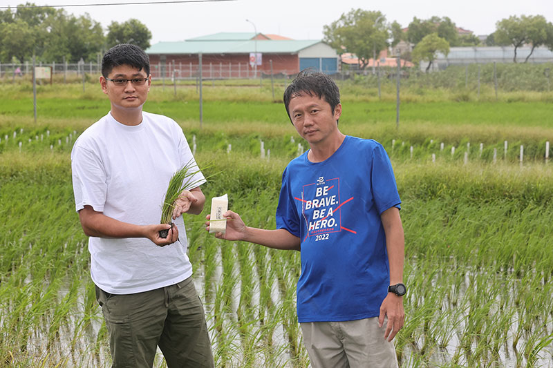 Huang Chia-hsing (right), associate researcher and breeding project leader, and assistant researcher Lee Jui-cha (left) have been the biggest drivers behind the Hualien No. 26 project.