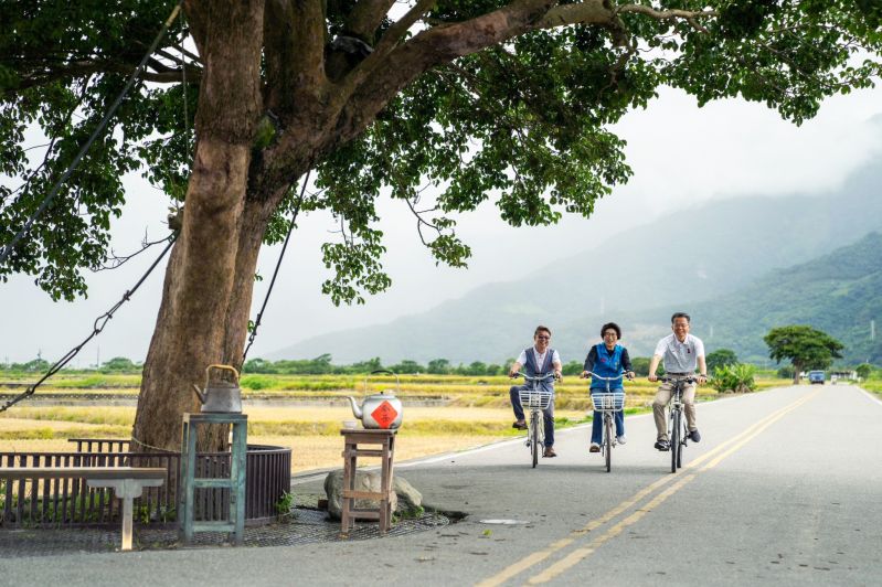 「金城武の樹」改め「奉茶樹」、健康状態は85点 Taiwan Today