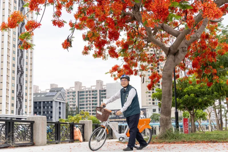 ホウオウボクの花が満開、台南市長自らサイクリングで宣伝 : Taiwan Today
